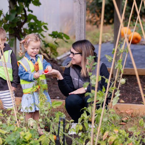 brookhousenursery-outdoor-028