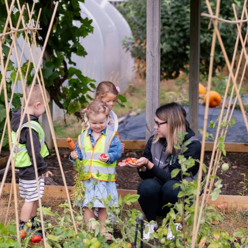 brookhousenursery-outdoor-032